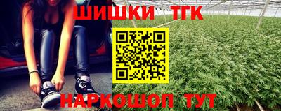 сатива Заводоуковск