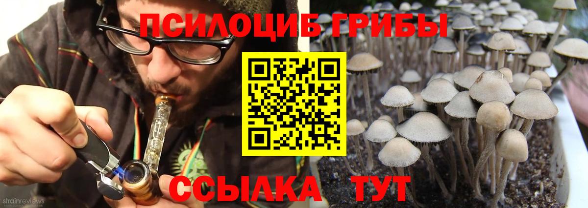 купить наркотики сайты  Галлюциногенные грибы MAGIC MUSHROOMS  Псилоцибиновые грибы Magic Shrooms  Вход с VPN  Междуреченск 